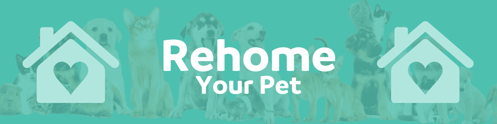 Rehoming Your Pet