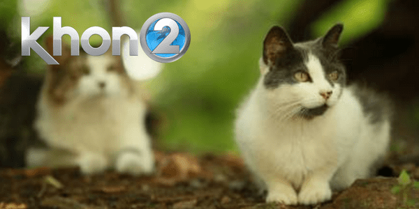 KHON2 - Trap, Neuter, Return KHON2 - Trap, Neuter, Return