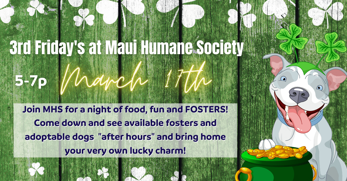 March 17th, 5-7p 3rd Friday at Maui Humane Society 3rd Friday at Maui Humane Society March 17th. Join MHS for a night of food, fun and FOSTERS! Come down and see available fosters and adoptable dogs "after hours" and bring home your very own lucky charm!