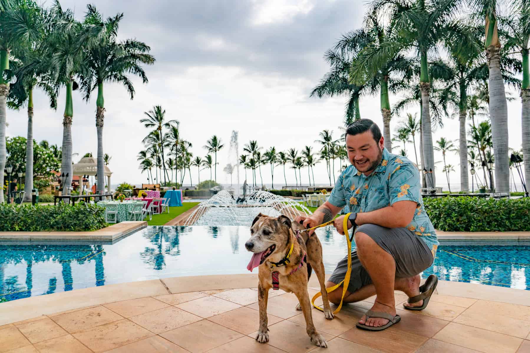 Wags to Riches participating Hotel: Grand Wailea Wags to Riches is BACK! Fundraise throughout April and you could be joining a shelter dog for a 1 night stay at Maui's top resorts on April 29th!