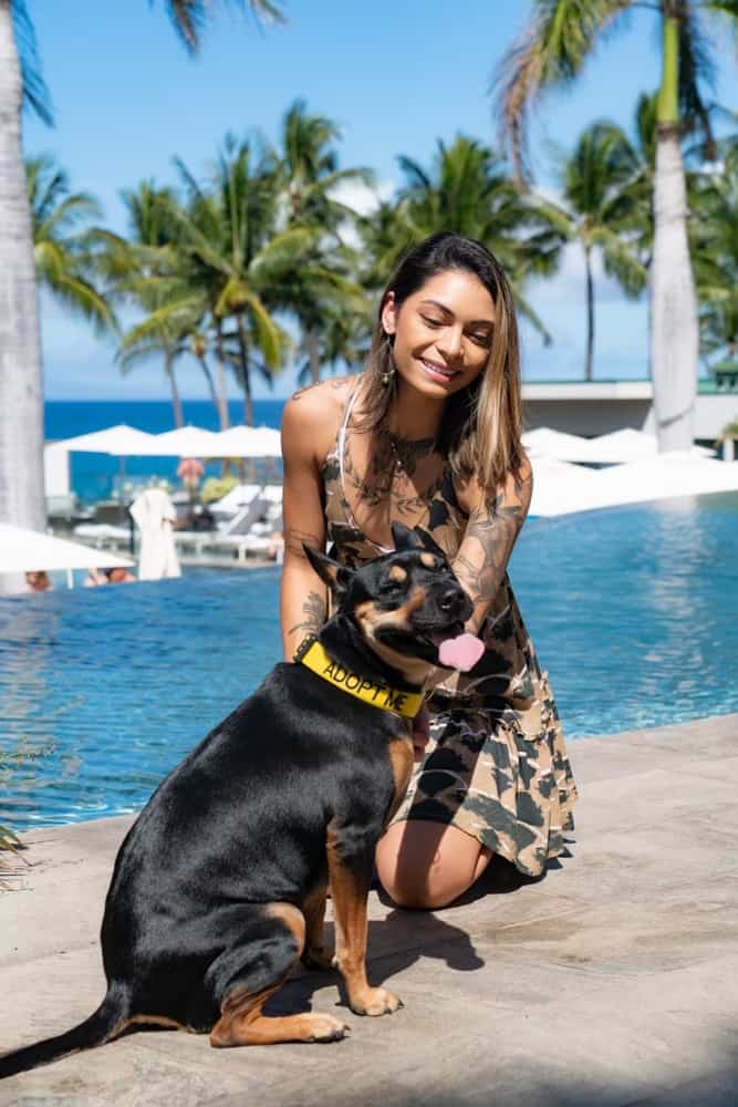 Wags to Riches is BACK! Fundraise throughout April and you could be joining a shelter dog for a 1 night stay at Maui's top resorts on April 29th! Wags to Riches is BACK! Fundraise throughout April and you could be joining a shelter dog for a 1 night stay at Maui's top resorts on April 29th!