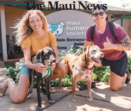 The Maui News: Adoption Fees waived during March - Choice Health Bar gives $10