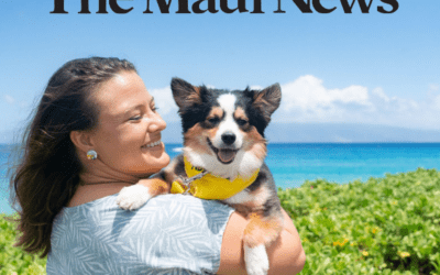 The Maui News: Shelter launches ‘Wags to Riches’