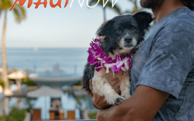 MauiNow: Maui Humane Society’s Wags to Riches fundraising event, April 29