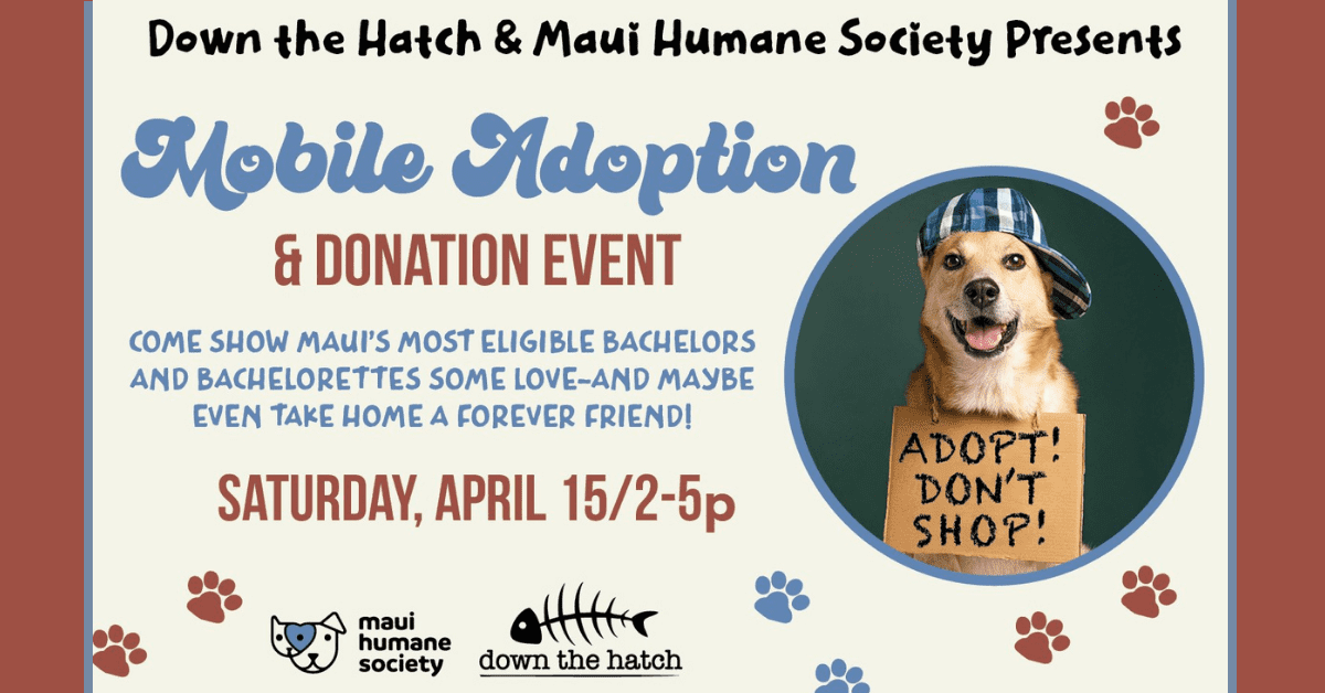 Maui Humane Society will bring adoptable dogs to meet the Maui Community at Down the Hatch on Saturday, April 15, from 2:00-4:00 pm. Maui Humane Society will bring adoptable dogs to meet the Maui Community at Down the Hatch on Saturday, April 15, from 2:00-4:00 pm.