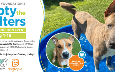 Maui Humane Society part of 350+ shelters participating in the spring “Empty the Shelters” event