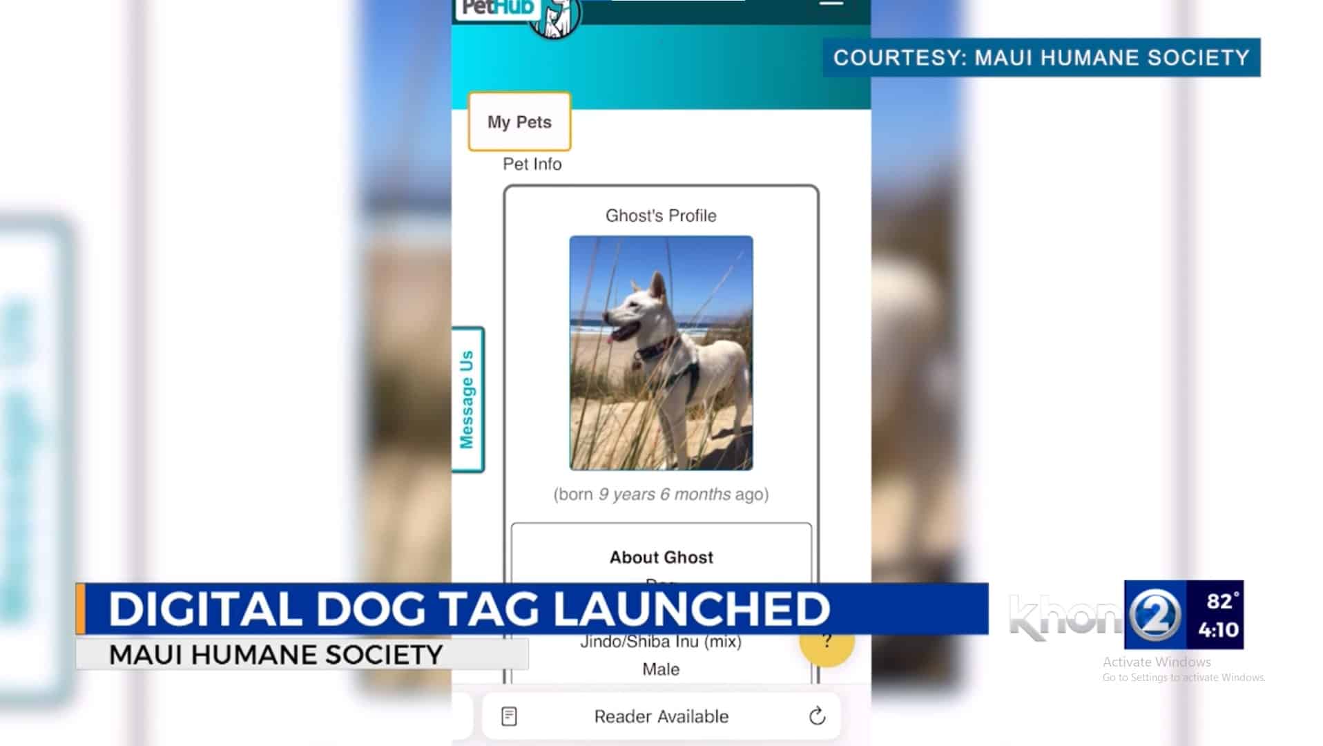 KHON2 - Ghost New PetHub Tag helps Pets get home