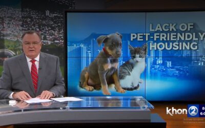 KHON2: Lack of pet-friendly housing leaves Maui owner on street