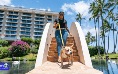 KHON2: Chance to spend a night at luxury resort for a good cause