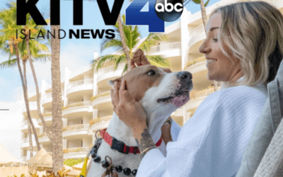 KITV4: From doghouse to penthouse: fundraising for Maui Humane Society’s Wags to Riches Event