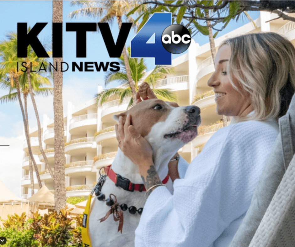 KITV: Wags to Riches KITV: Wags to Riches