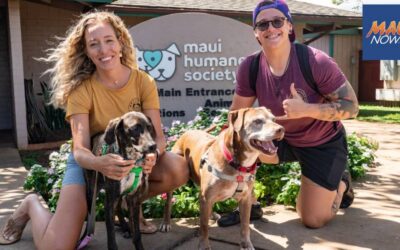 Maui Now: PetHub Announces Partnership with Maui Humane Society