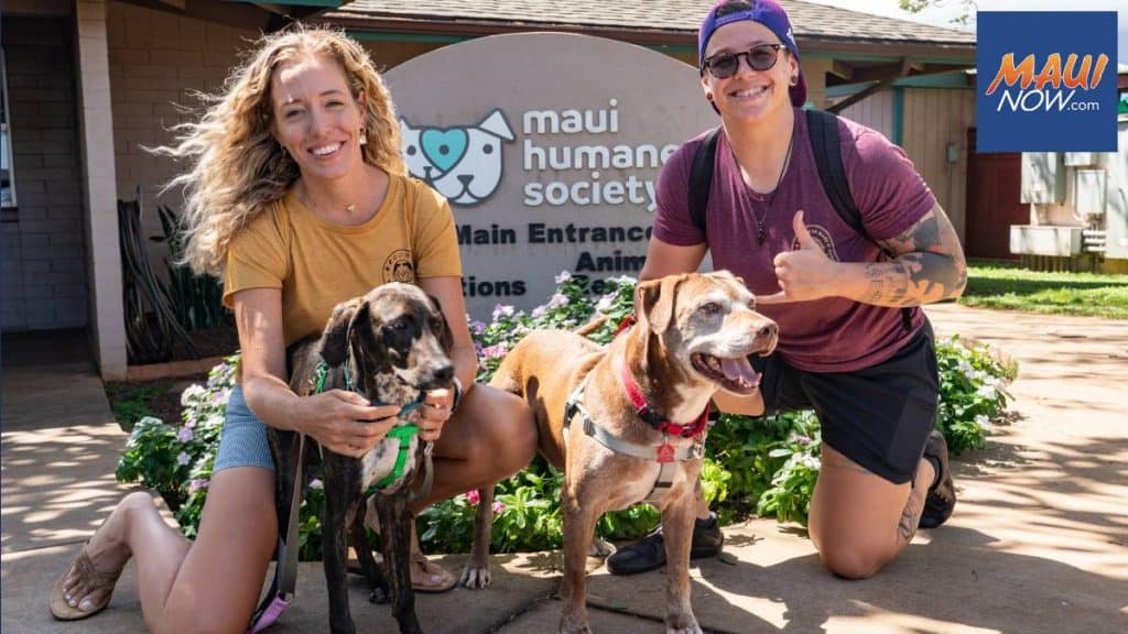 PetHub Announces Partnership with Maui Humane Society PetHub Announces Partnership with Maui Humane Society