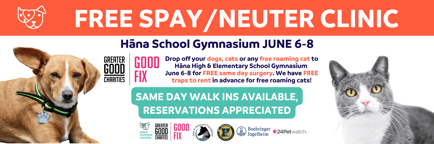 Hana Good Fix - June 6-8 - Reserve your Free Spay or Neuter or vet exam!