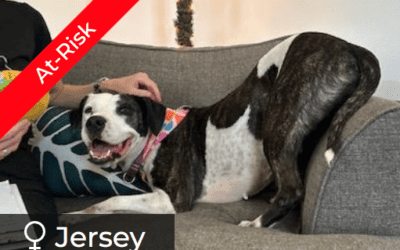 We are in Population Crisis