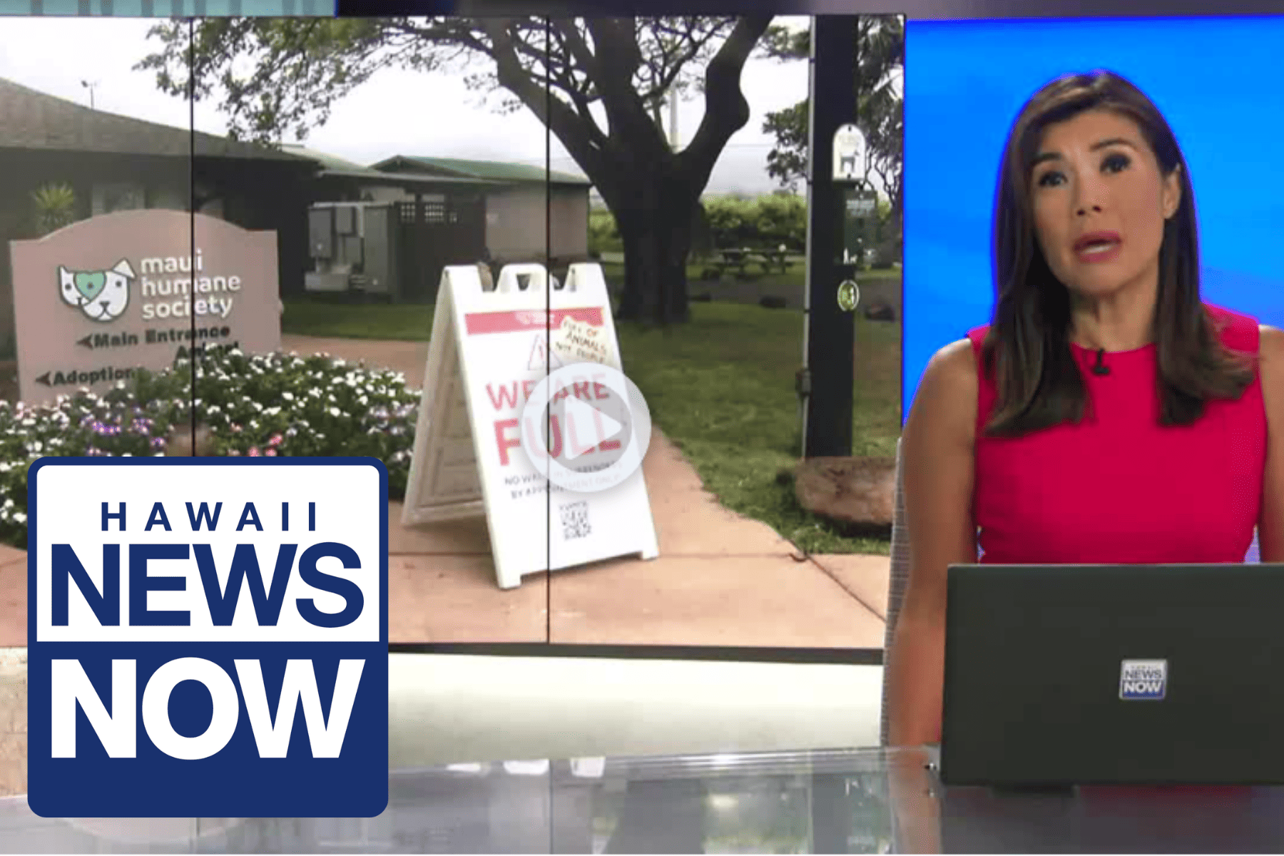 Hawaii News Now: Maui Humane Society fears euthanasia may be only option for dogs at overcrowded facility Hawaii News Now: Maui Humane Society fears euthanasia may be only option for dogs at overcrowded facility