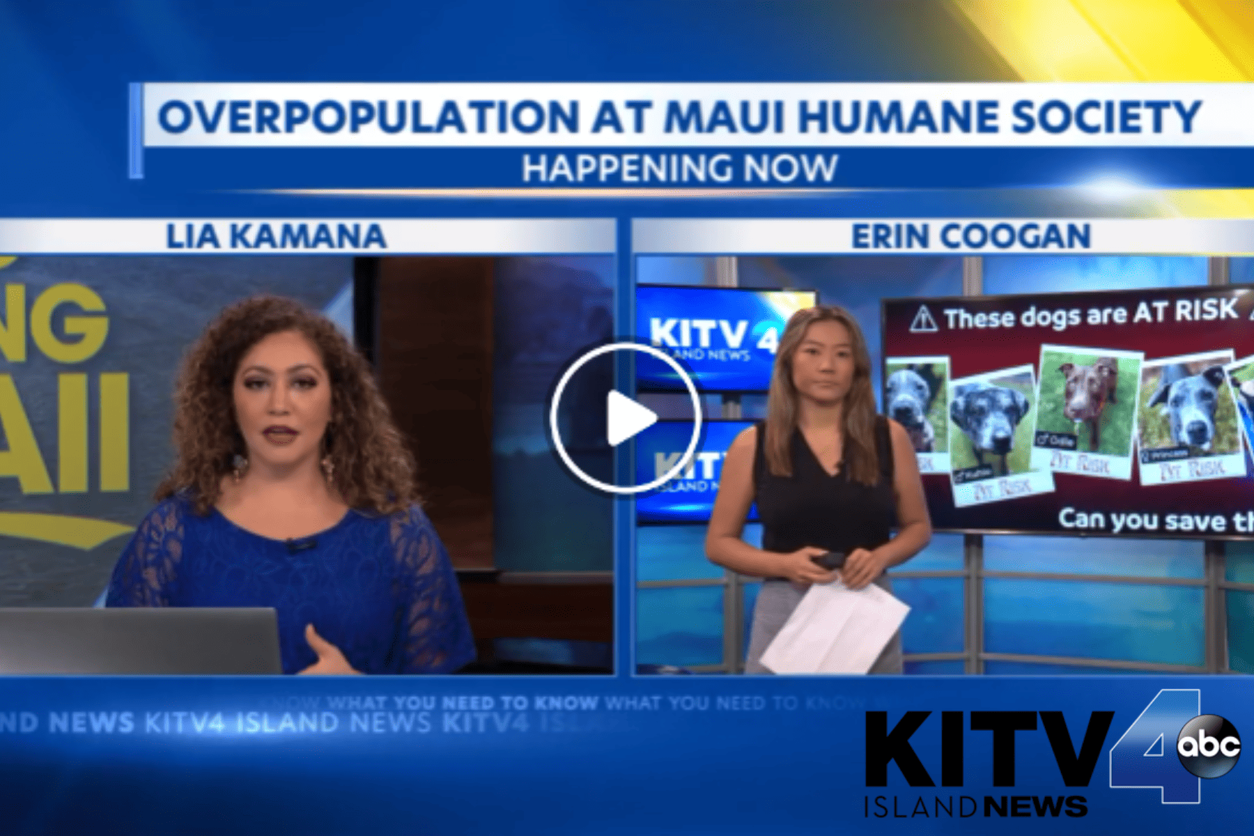 KITV4: Overcrowding KITV4: Overcrowding