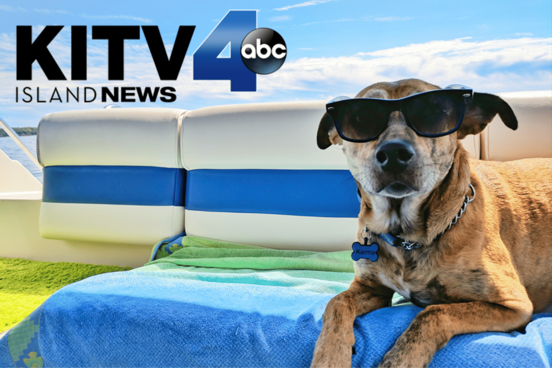 KITV4: Share your pet photos with Maui Humane Society KITV4: Share your pet photos with Maui Humane Society