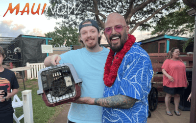 MauiNow: Maui Humane Society, Jackson Galaxy create donation fund for at-risk cats, kittens