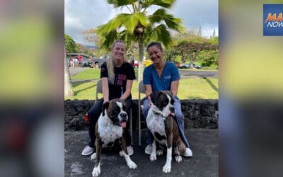 Maui Now: Free spay/neuter Good Fix clinic in Hāna, June 6-8