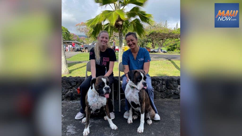 (Maui Now): Maui Humane Society is partnering with Greater Good Charities’ Good Fix program to provide a free spay/neuter clinic in the East Maui town of Hāna, June 6-8, 2023. (Maui Now): Maui Humane Society is partnering with Greater Good Charities’ Good Fix program to provide a free spay/neuter clinic in the East Maui town of Hāna, June 6-8, 2023.