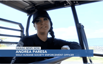 Hawaii News Now: MPD takes lead providing services to growing homeless camp