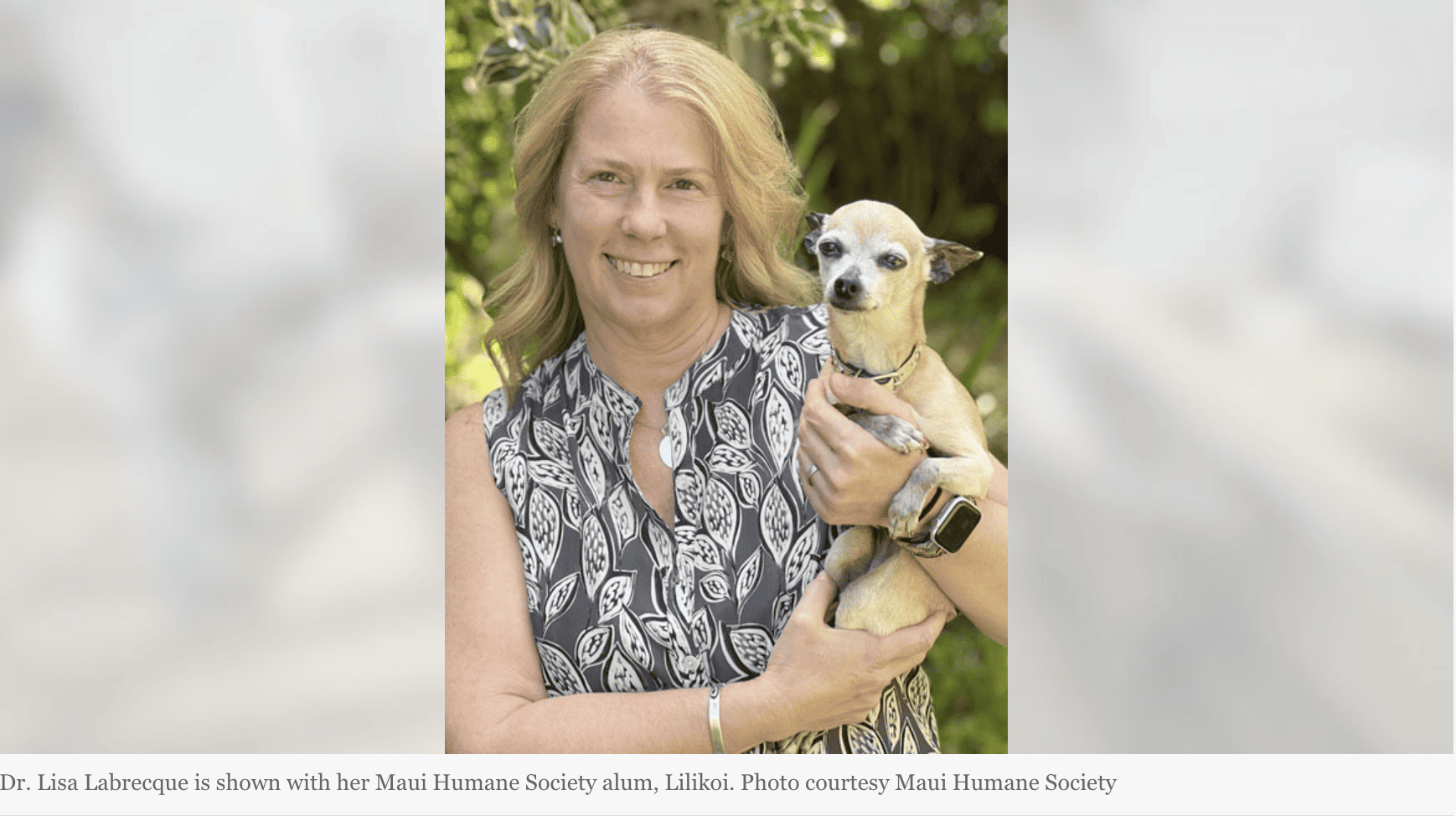 The Board of Directors of Maui Humane Society announced the appointment of Dr. Lisa M. Labrecque, DVM, as the organization’s new Chief Executive Officer. She will start work at the shelter in Puʻunēnē on July 19, 2023. The Board of Directors of Maui Humane Society announced the appointment of Dr. Lisa M. Labrecque, DVM, as the organization’s new Chief Executive Officer. She will start work at the shelter in Puʻunēnē on July 19, 2023.