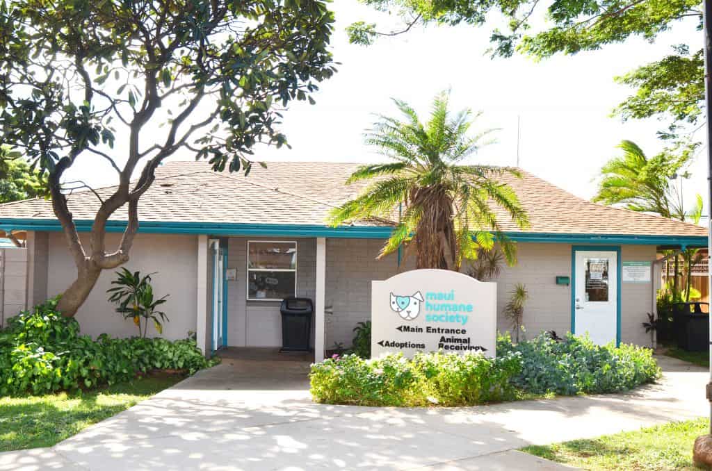 Maui Humane Society Shelter Front Maui Humane Society Shelter Front