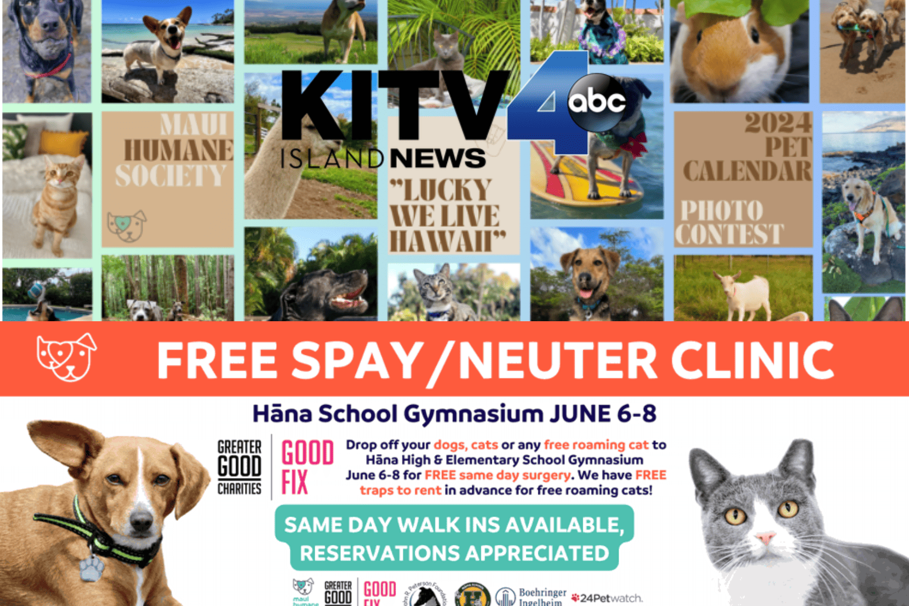 KITV: MHS News KITV4: Maui Humane Society hosts free spay/neuter clinic, seeks pet pics for calendar contest