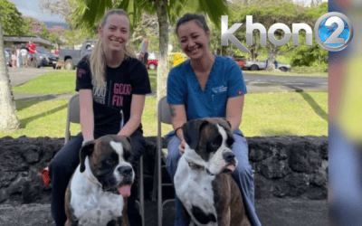 KHON2: Opportunity for free spay, neuter clinic returns to Hana