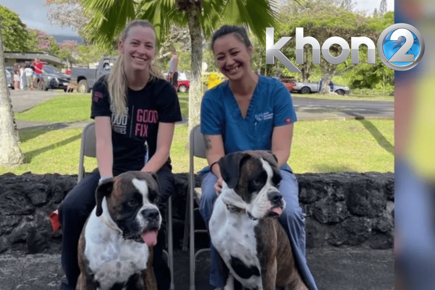 KHON2: Opportunity for free spay, neuter clinic returns to Hana KHON2: Opportunity for free spay, neuter clinic returns to Hana