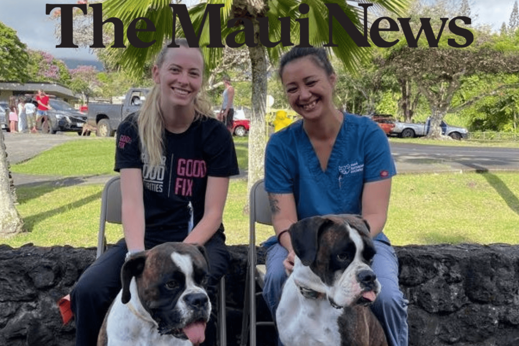 The Maui News: Free spay, neuter clinic set for Hana The Maui News: Free spay, neuter clinic set for Hana