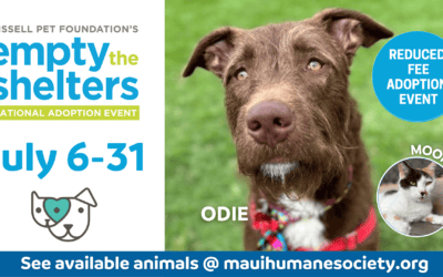 Press Release: Maui Humane Society Participating in BISSELL Pet Foundation Summer National “Empty the Shelters” July 6-31