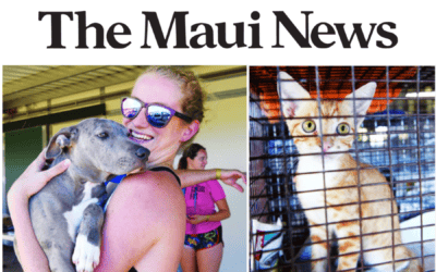Maui News: Free Spay and Neuter Clinic