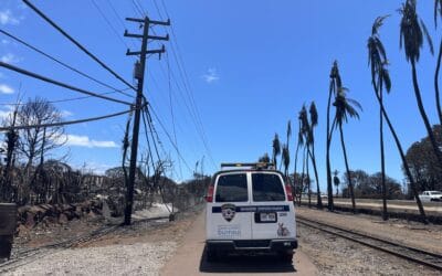 The Maui News: Maui Humane Society accesses Lahaina burn zone to search for surviving animals