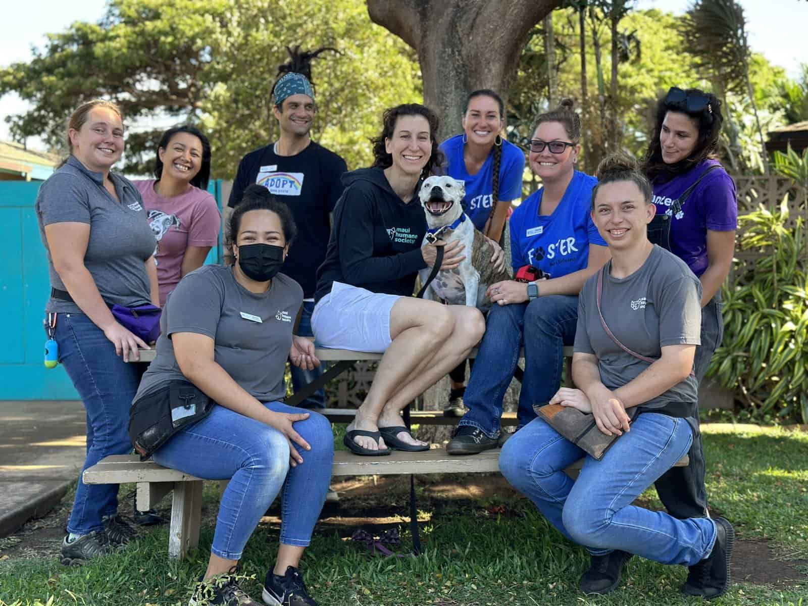 Lilo surrounded by her new adopter and MHS staff on her day of adoption Lilo surrounded by her new adopter and MHS staff on her day of adoption