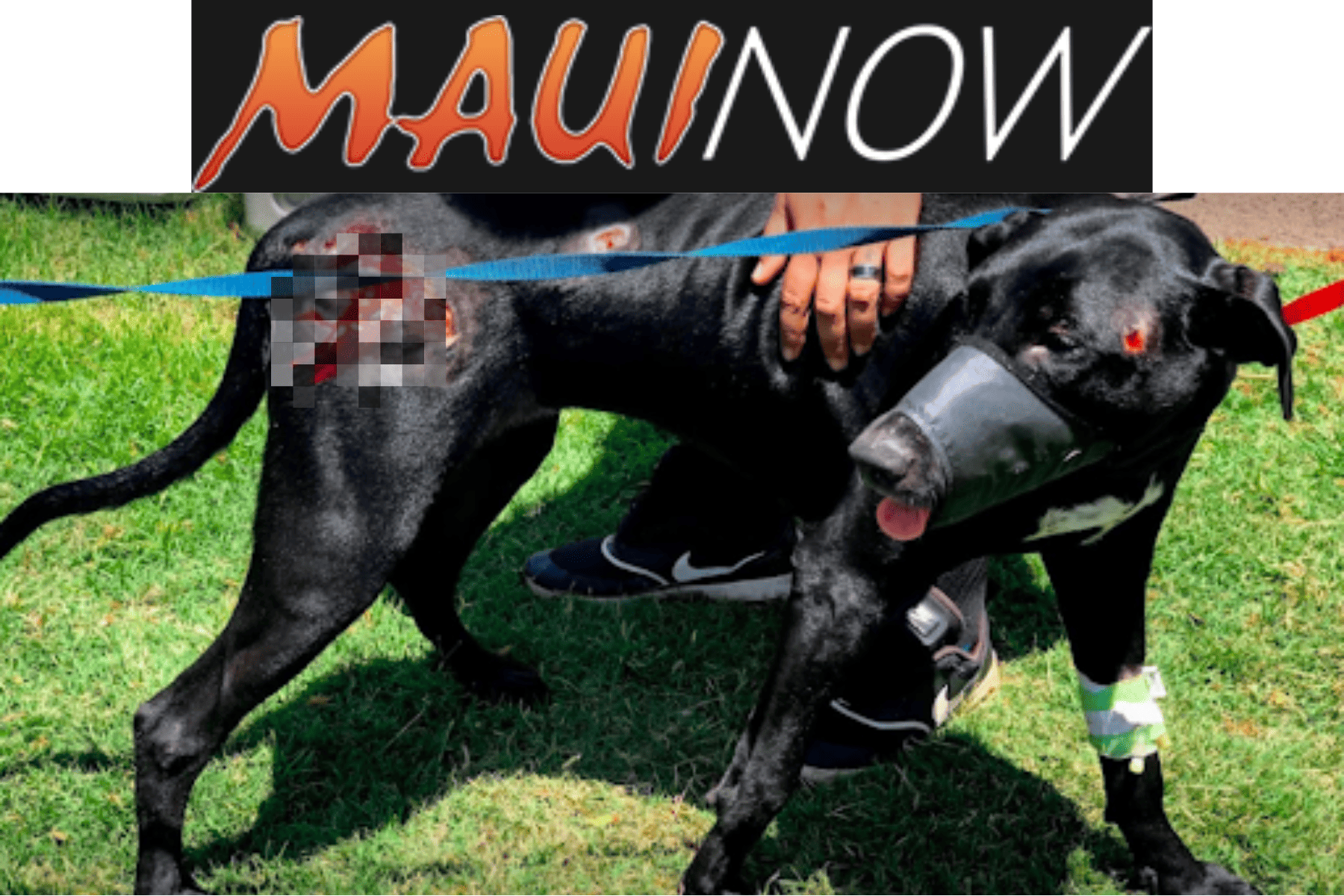 MauiNow: Concert for Hope - SheRa MauiNow: Concert for Hope - SheRa