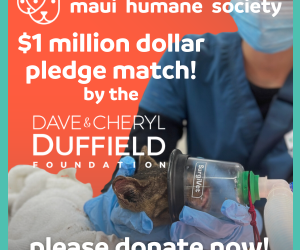 The Dave & Cheryl Duffield Foundation Pledge $2M for Animal-Related Fire Relief Efforts
