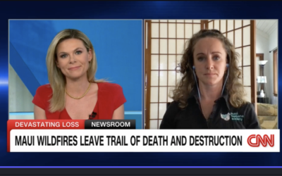 CNN: Maui Wildfires Leave Trail of Death and Destruction