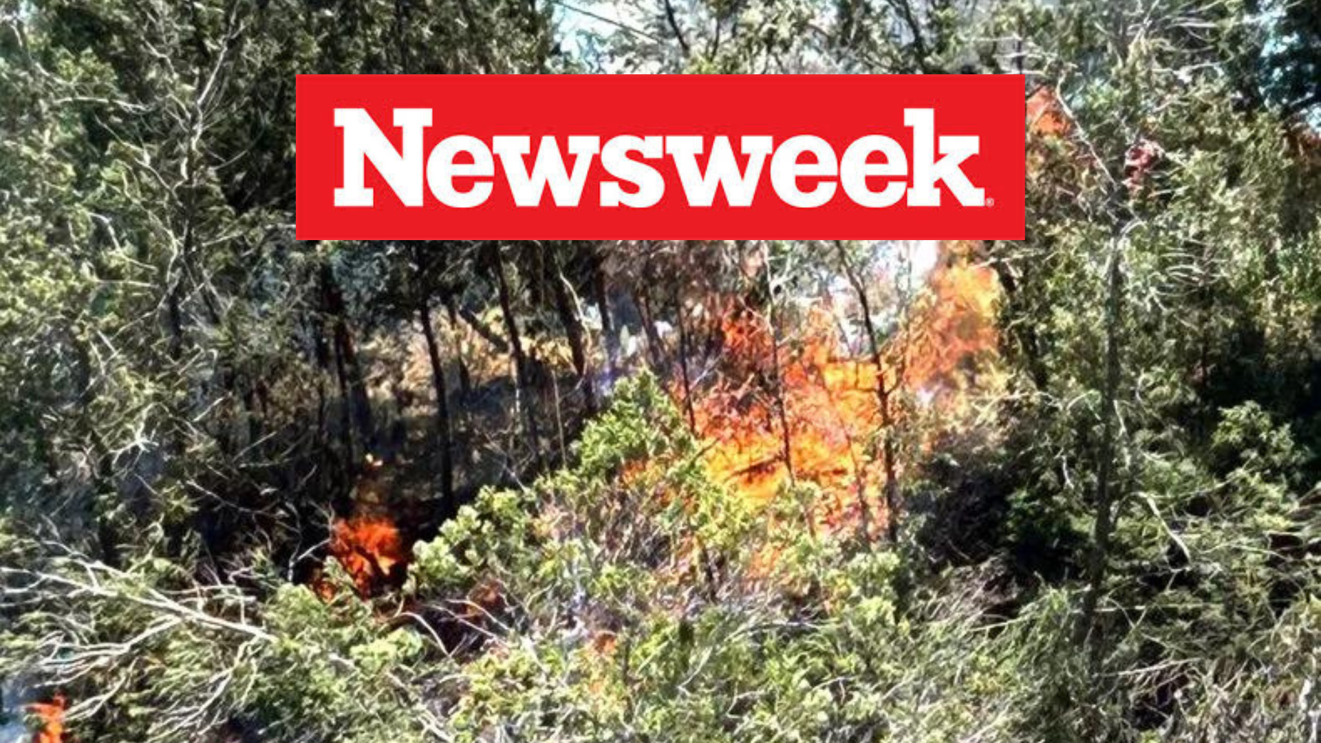 Hawaii Wildfire Update: Map Shows Where Fire on Maui Is Spreading