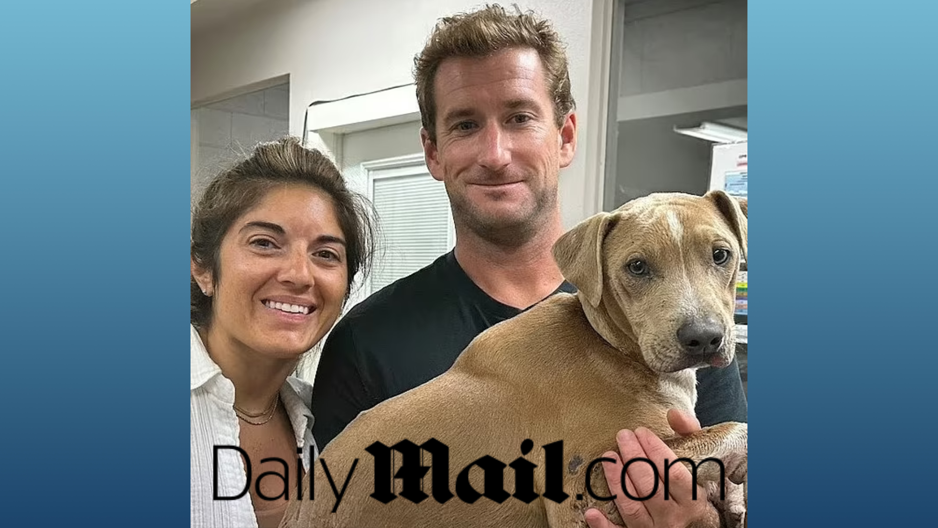 Rescue dog is reunited with his owners after fleeing Maui wildfires