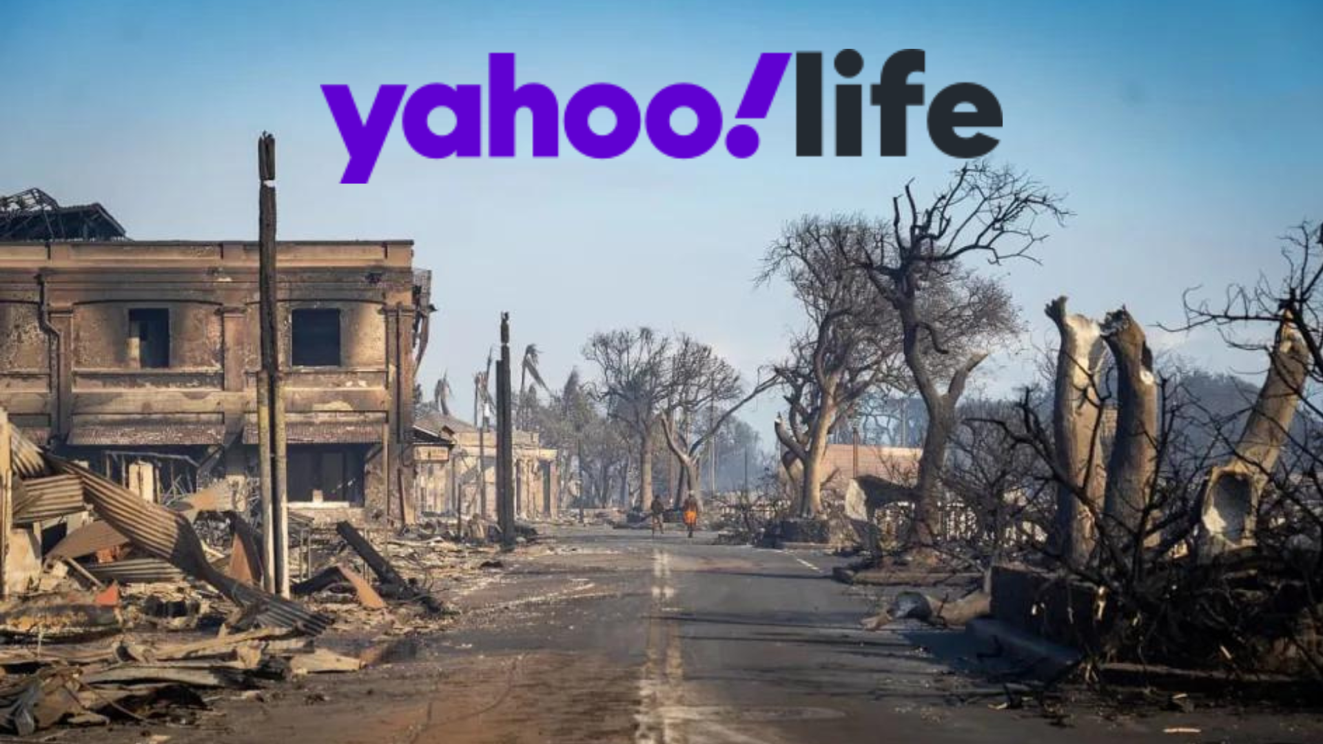 Maui Humane Society Claims Roughly 3,000 Pets Were Lost and Displaced From Fires, Here's How to Help