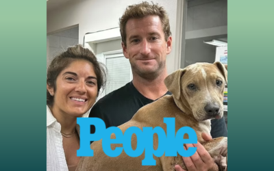 Dog Burned in Maui Wildfires Is Reunited with Owners After Running Away from Flames