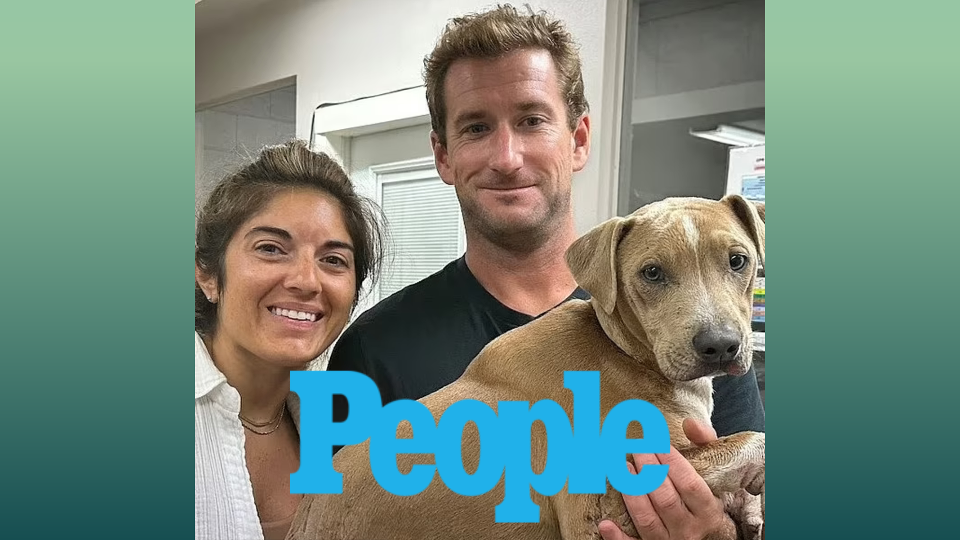 Dog Burned in Maui Wildfires Is Reunited with Owners After Running Away from Flames