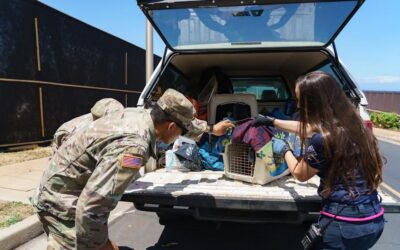 Press Release: An Open Letter from Lisa Labrecque, CEO