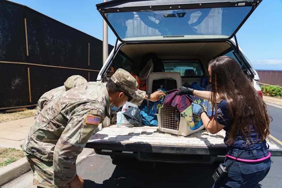 Press Release: An Open Letter from Lisa Labrecque, CEO