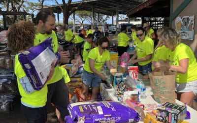 Fire Relief Food Distribution Update