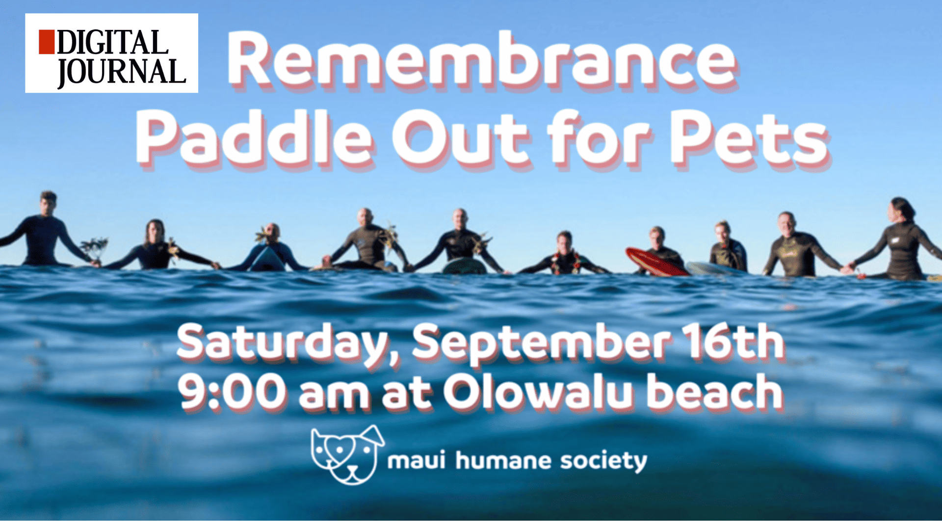 paddle out for pets digital journal article