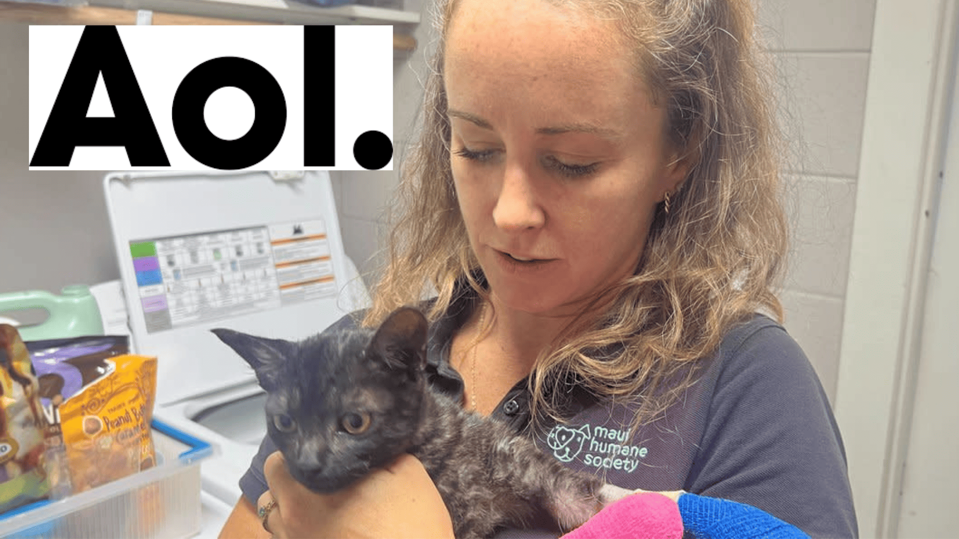 The Maui Humane Society is caring for more than 20 burned animals that survived the Lahaina wildfire.