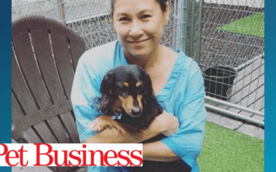 Coming Together for Maui’s Pets